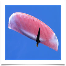 High Flyer - Rob Sparkes